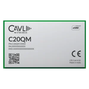 C20QM